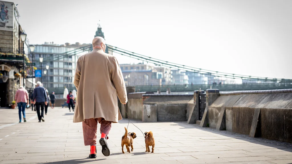 A man walks two small dogs with a view of London in the background.